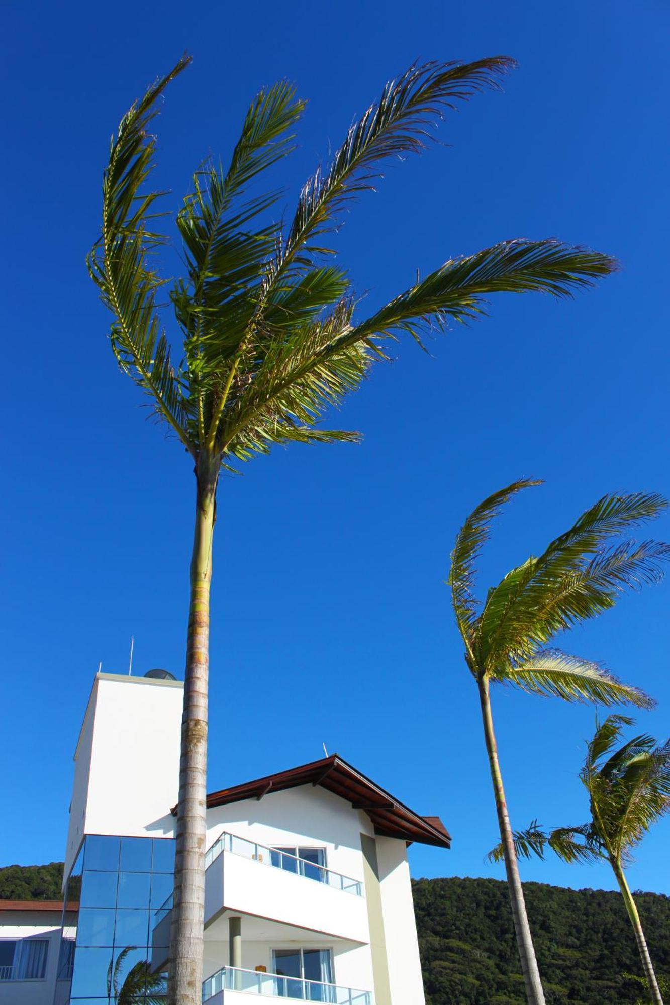 Reserva Praia Hotel บัลเนอาริโอ กังโบริว ภายนอก รูปภาพ